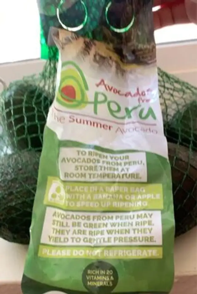 Avocado
