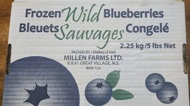 frozen wild blueberries