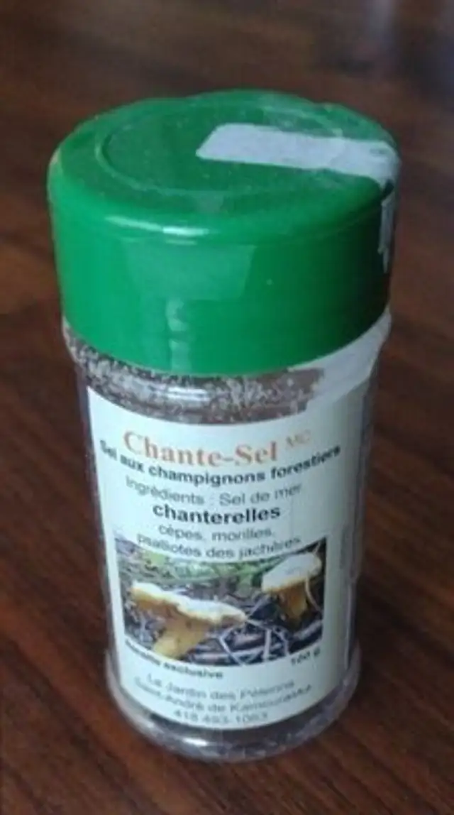Sel aux champignons forestiers