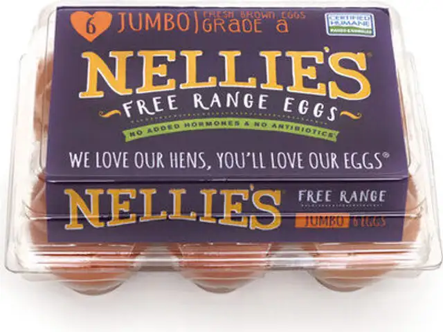 Nellie's free range grade a jumbo fresh brown eggs