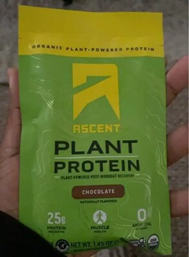 Protein powder