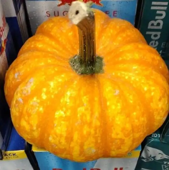 Sparkler pumpkin