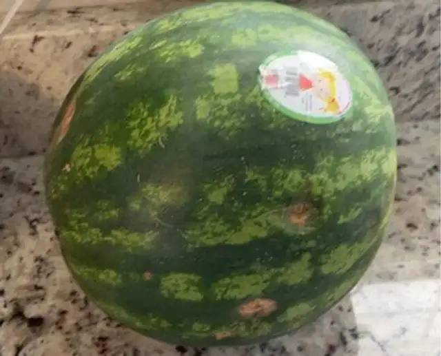 Personal Seedless Watermelon