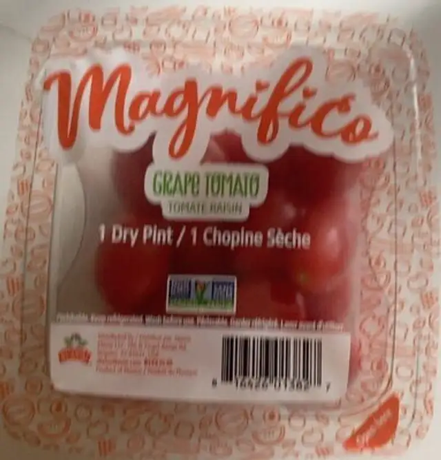 Magnifico