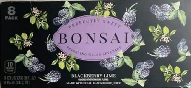 Sparkling water beverage