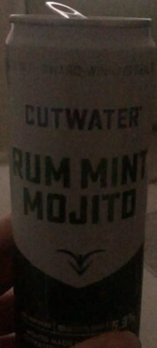 Rum Mint Mojito