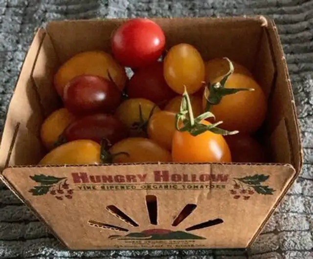 Vine ripened organic tomatoes