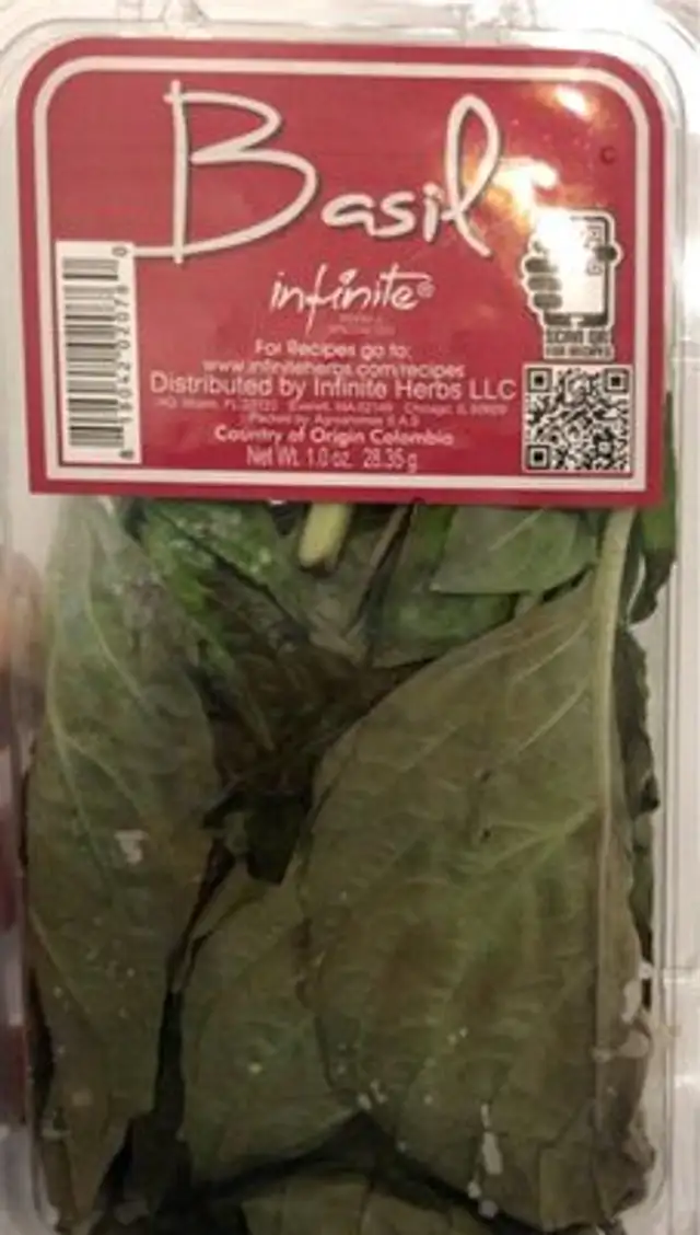 Basil