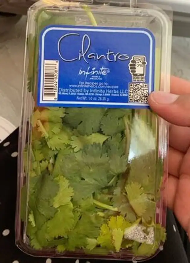 Cilantro