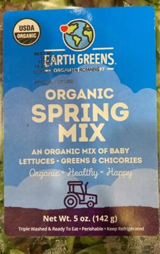 Organic Spring Mix