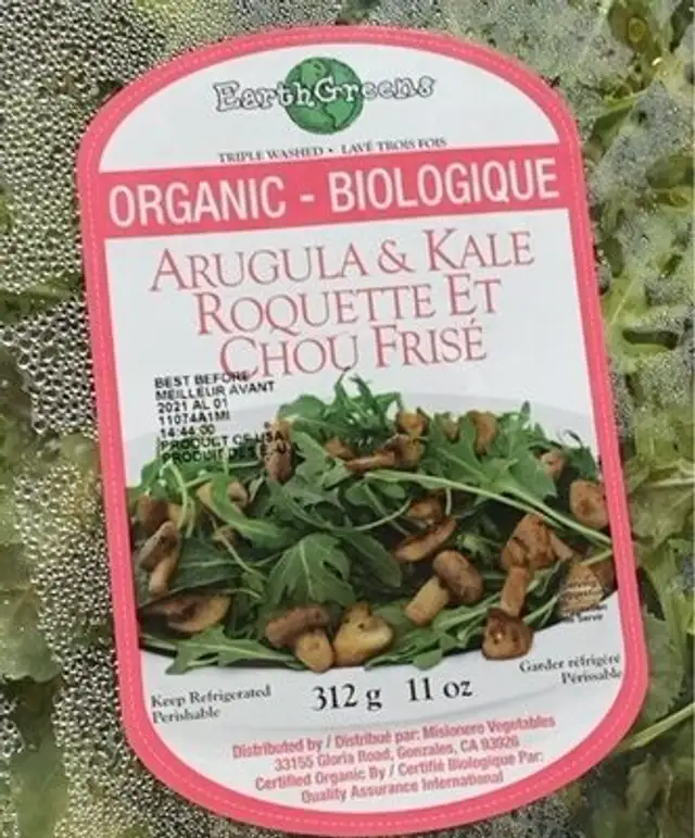 Roquette et chou frisé