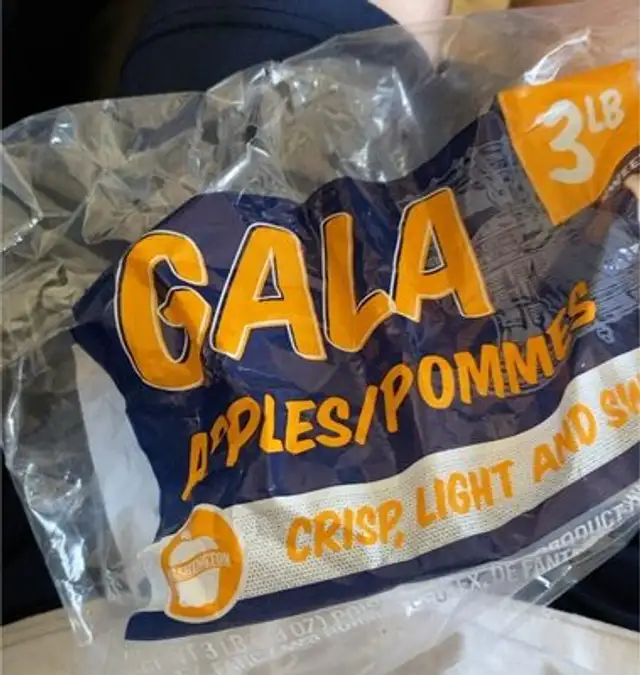 Gala Apple