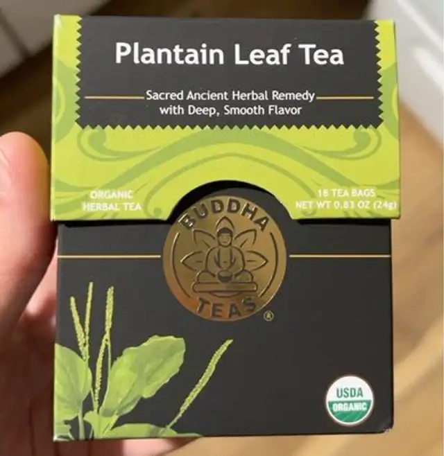 Plantain Leaf Tea