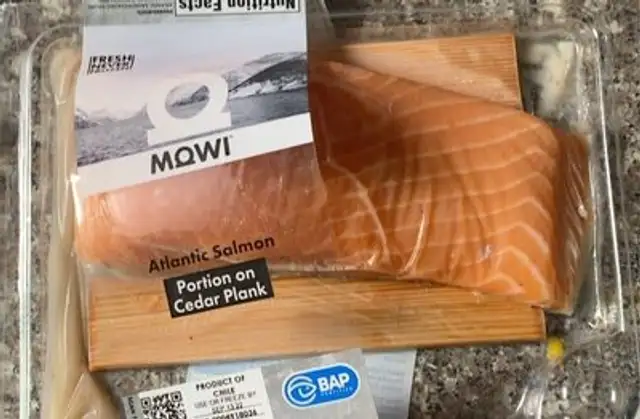 Atlantic salmon