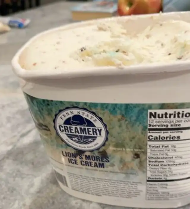 lions smores ice cream