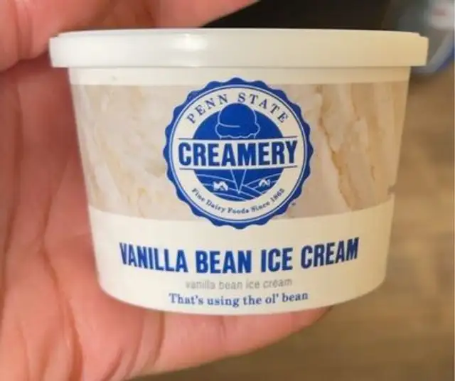 Vanilla Bean Ice Cream
