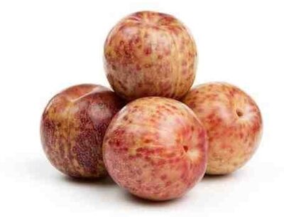 Pluots
