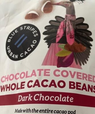 Dark Chocolate Covered Whole Cacao Beans
