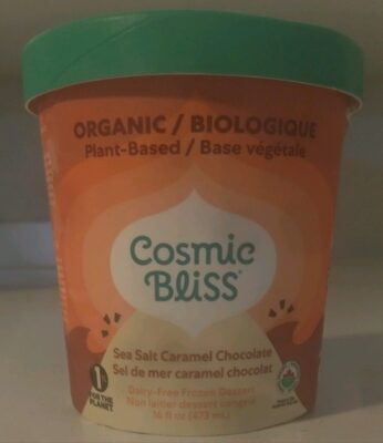 Sea Salt Caramel Chocolate Dairy-Free Frozen Dessert