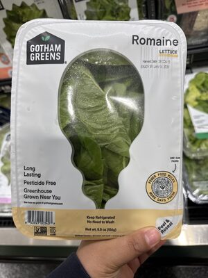 Romaine