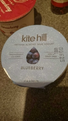Blueberry Almond Milk Yogurt