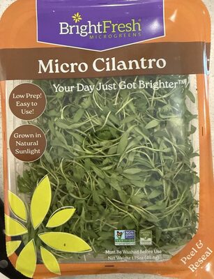 Micro Cilantro