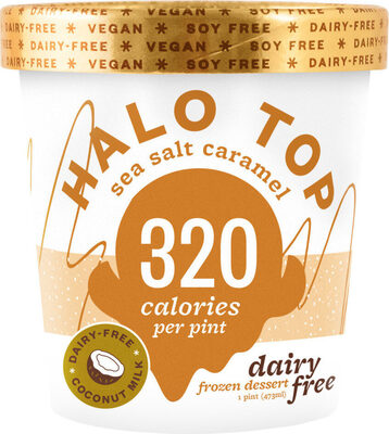 Dairy-free soy-free vegan sea salt caramel frozen dessert