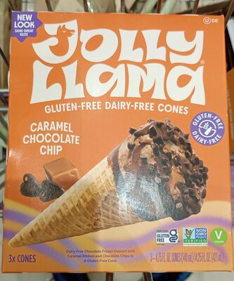 Dairy Free Gluten Free Cones Caramel Chocolate Chip