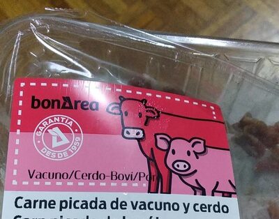 Carne picada de cerdo y vaca