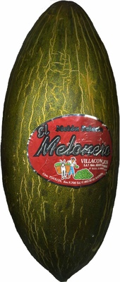 Melón variedad piel de sapo