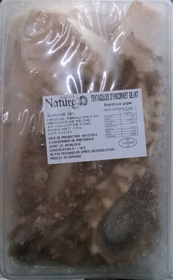 Tentacule d'encornet géant