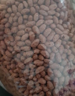 Riz soufflé chocolat