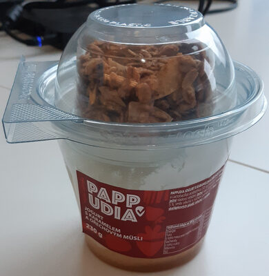 Jogurt s karamelem a ořechovým müsli