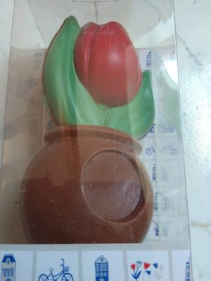 Tulipe Chocolat au Lait