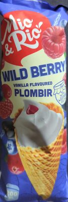 Vanilės Skonio Plombyras Su Miško Uogų Įdaru Vafliniame Ragelyje