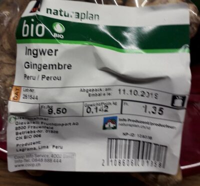 Gingembre