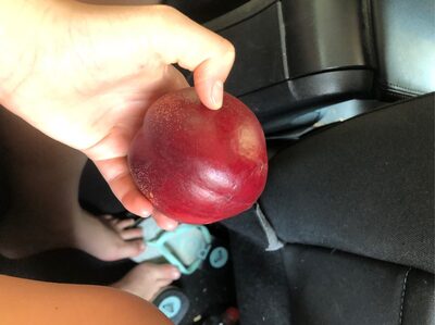 Nectarine front packaging