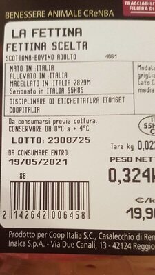 SCOTTONA BOVINO ADULTO