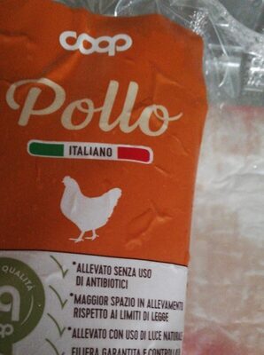 Pollo