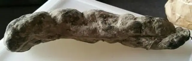 Saucisson sec bio