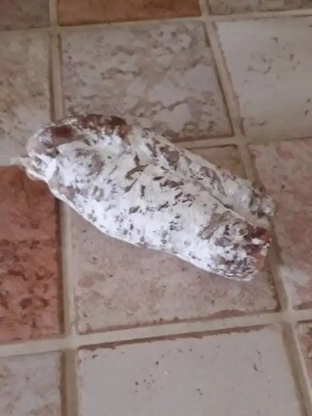 Saucisson pur porc