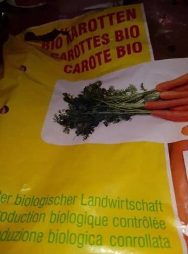 Carottes