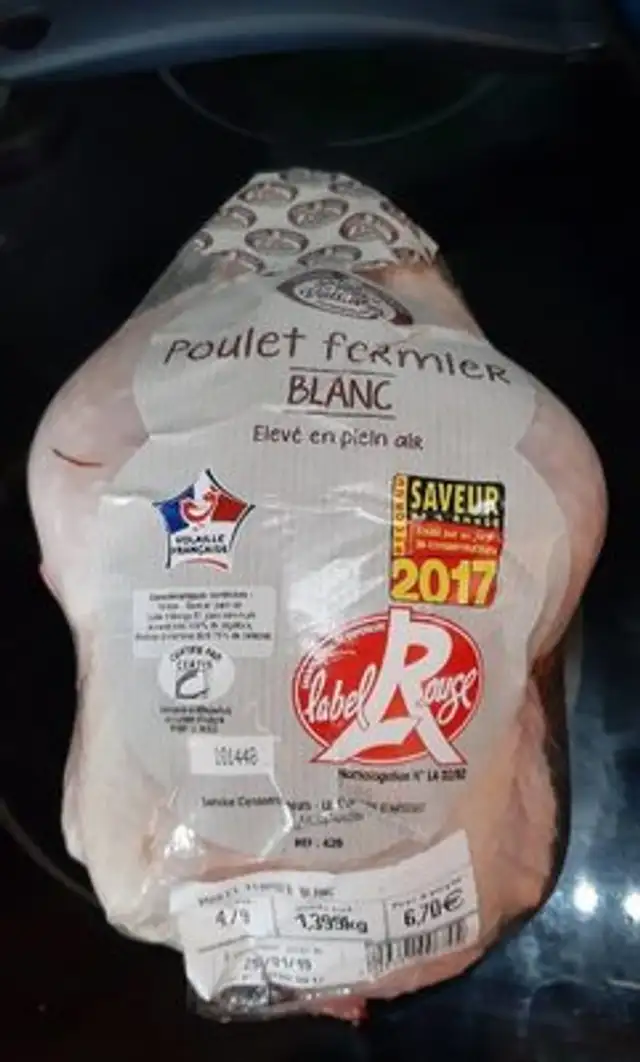 Poulet fermier blanc élevé en plein air