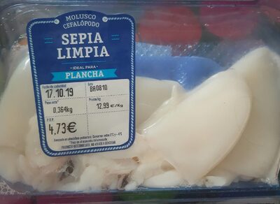 Molusco cefalópodo.  Sepia limpia