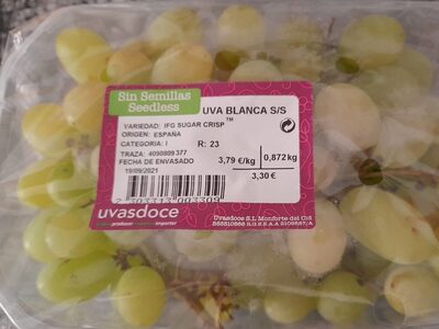 Ivas blancas sin pepitas