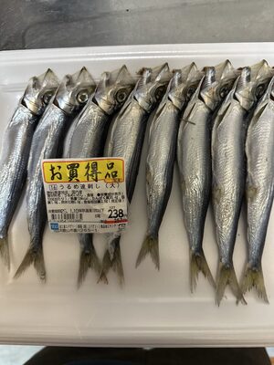 うるめ 連刺し (大)