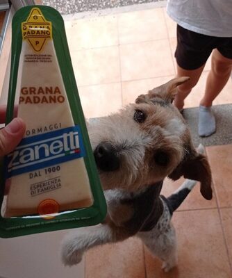 Formaggio Grana Padano