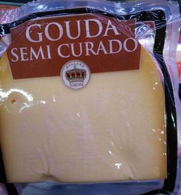 Queso gouda semi curado 48%
