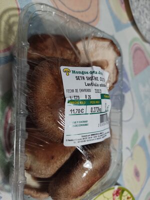 Seta shitake cultivada (Lentinula edodes)