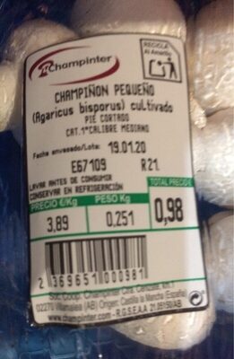 Champiñon pequeño